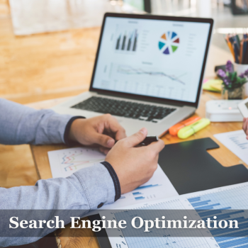Search Engine Optimization Digital Infinite (4)